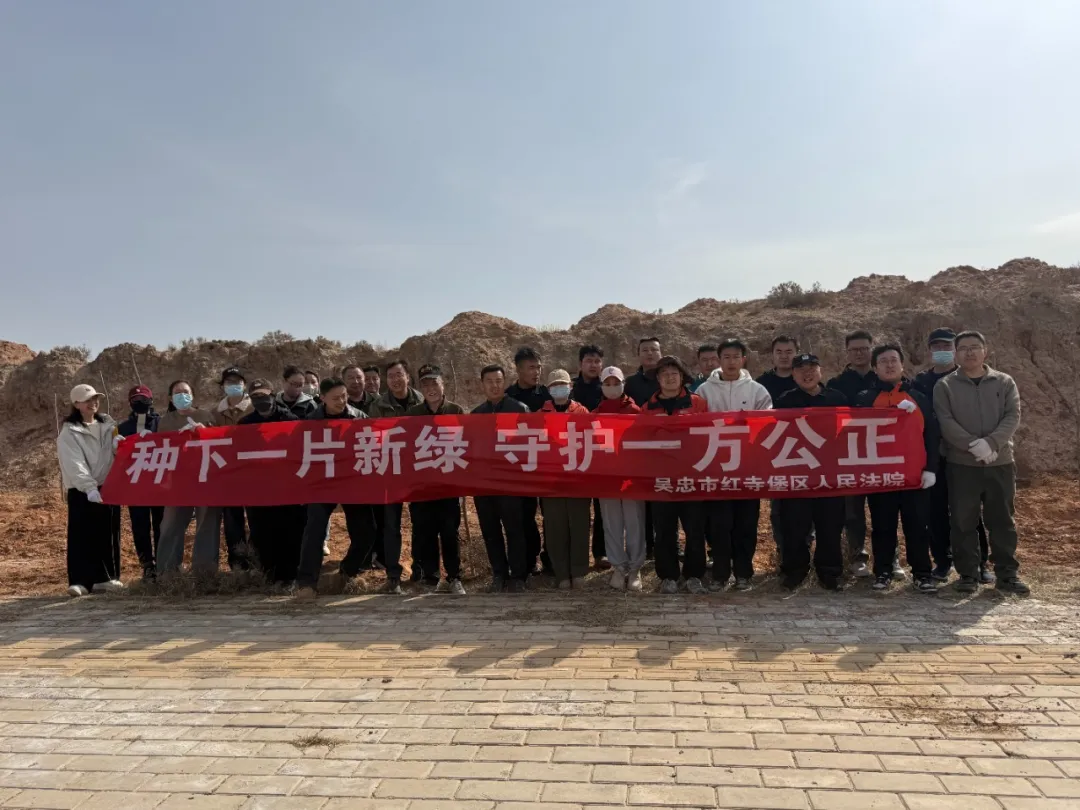 图片8.png