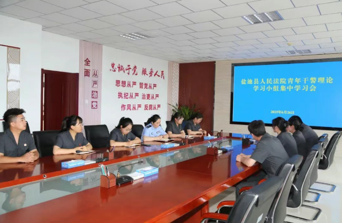 盐池县法院开展青年干警理论学习小组集中学习会.png